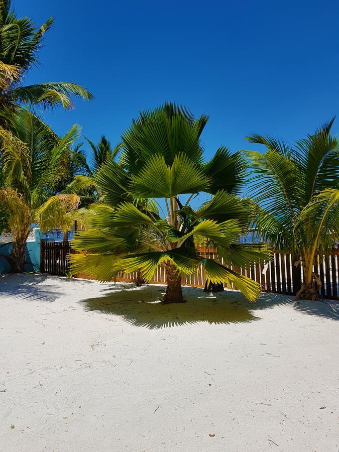 Carolyn'S House Vila Caye Caulker Exterior foto